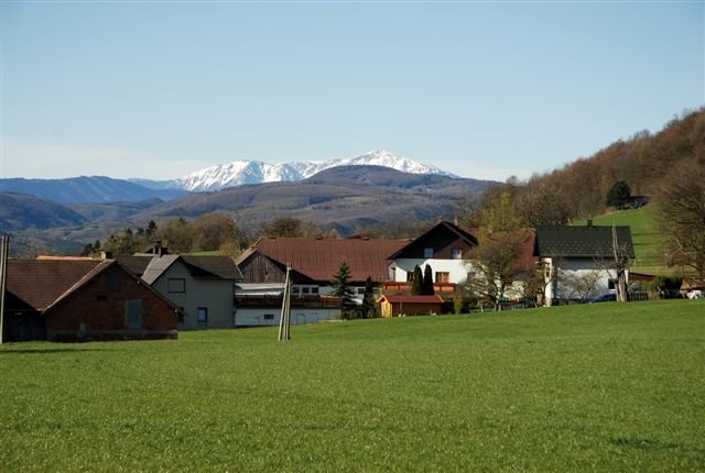 photo.jpg