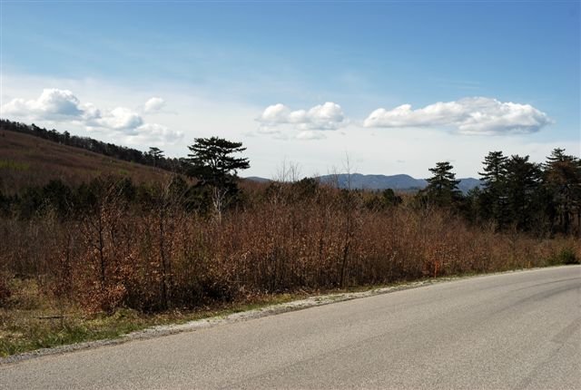 photo2.jpg